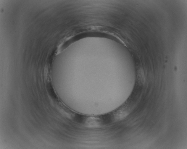 X0000081300222200702012317