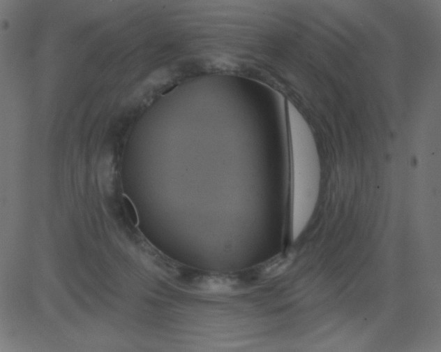 X0000081300223200702012317