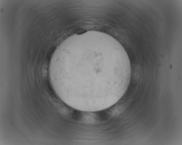 X0000081300226200702012317