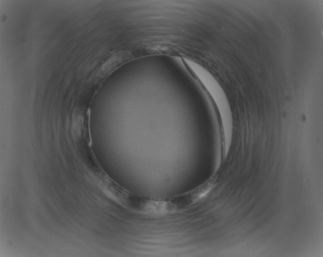 X0000081300227200702012317