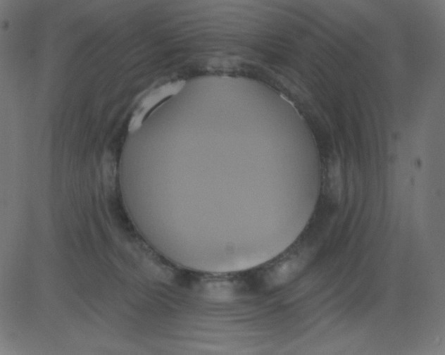 X0000081300228200702012317