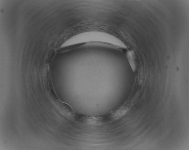 X0000081300229200702012317