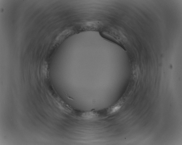 X0000081300231200702012317