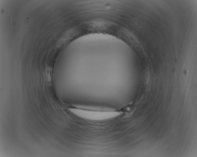 X0000081300232200702012317