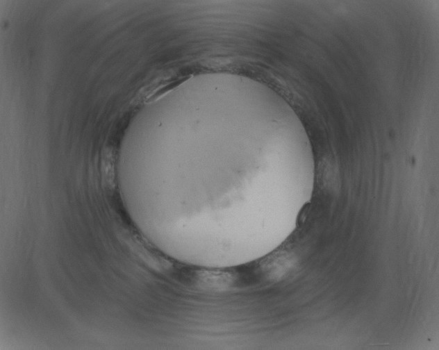 X0000081300234200702012317