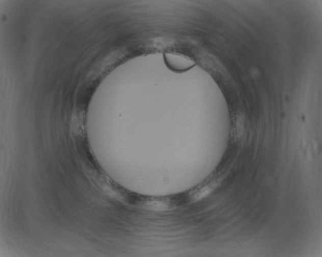 X0000081300236200702012317