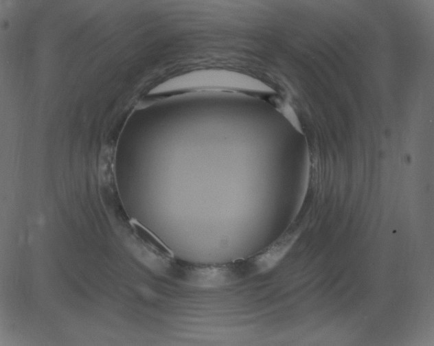 X0000081300237200702012317