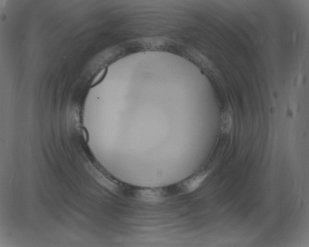 X0000081300238200702012317