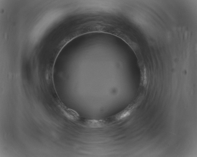 X0000081300239200702012317