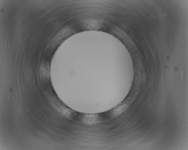 X0000081300240200702012317