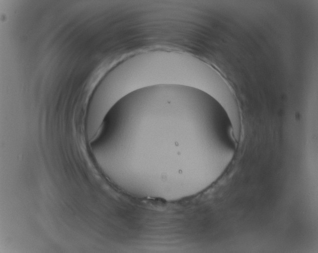 X0000081300241200702012316