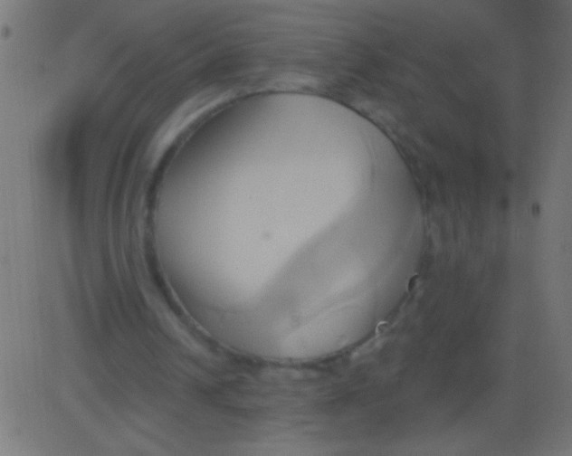 X0000081300242200702012316