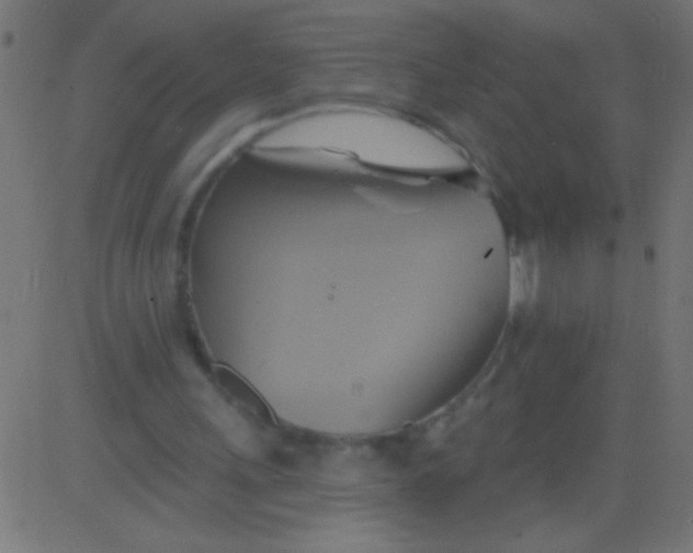 X0000081300243200702012316