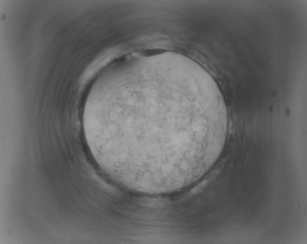 X0000081300245200702012316