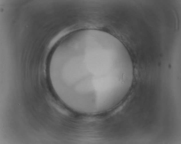 X0000081300246200702012316