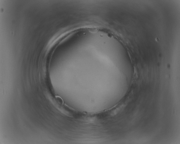 X0000081300247200702012316