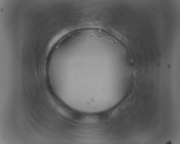 X0000081300248200702012316