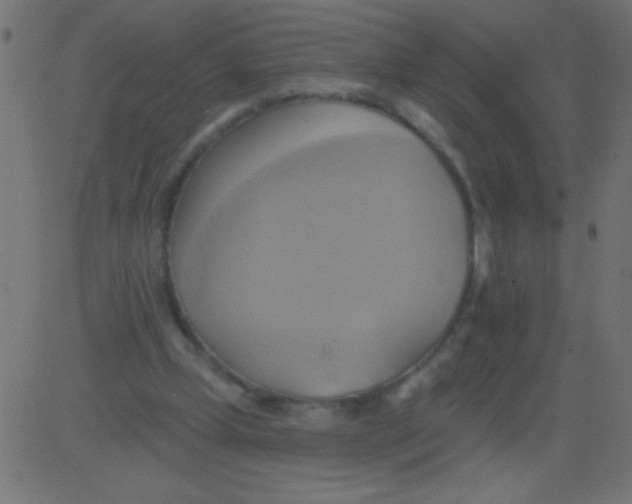 X0000081300249200702012316