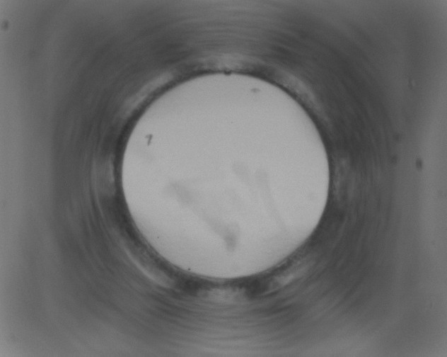 X0000081300251200702012316