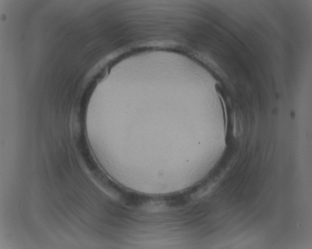 X0000081300252200702012316