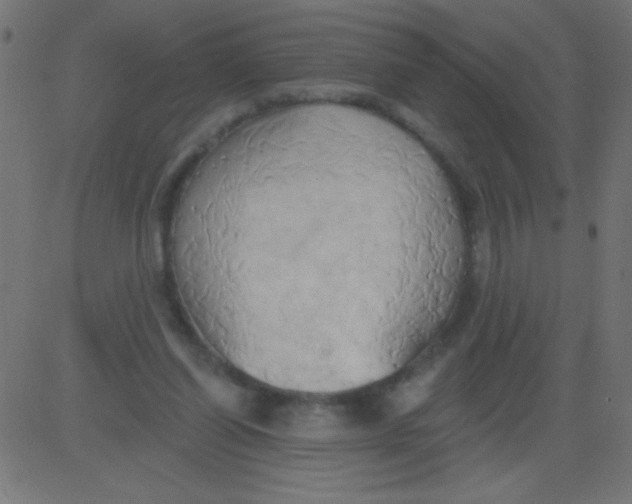 X0000081300254200702012316