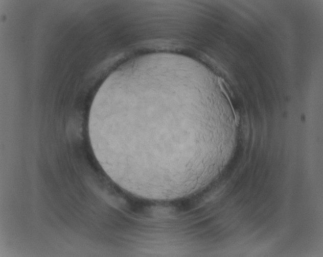 X0000081300255200702012316