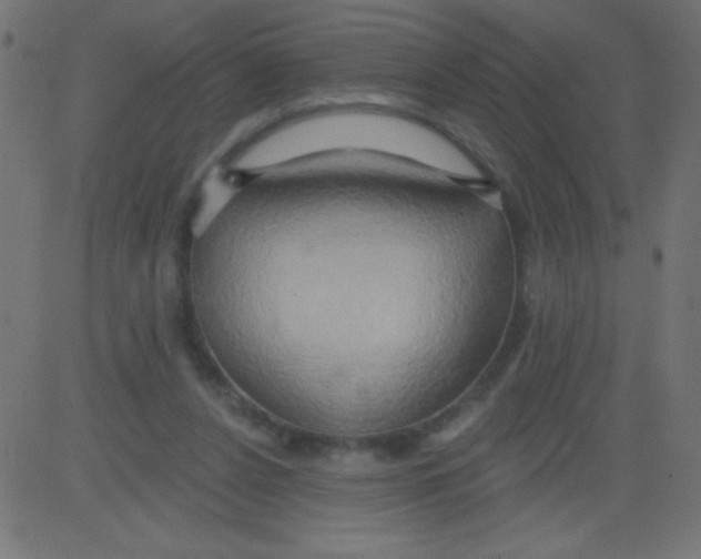 X0000081300256200702012316