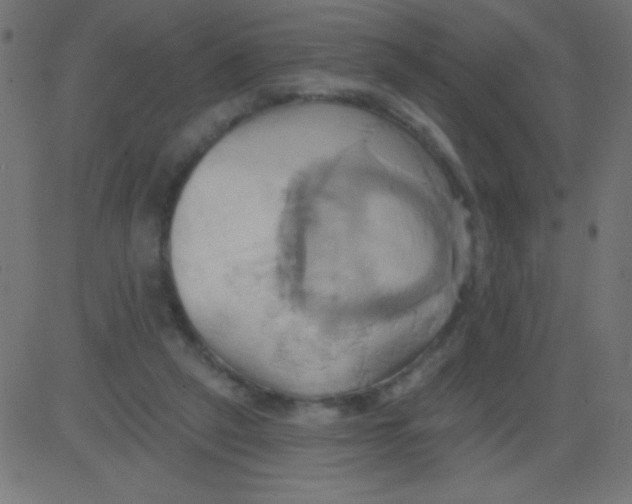 X0000081300257200702012316