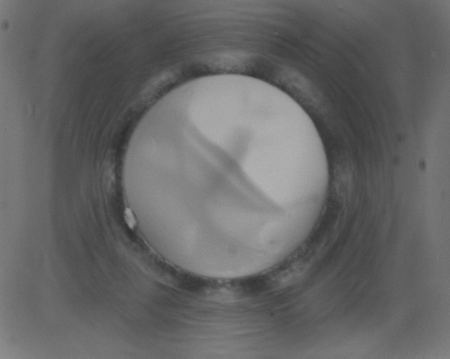 X0000081300259200702012316