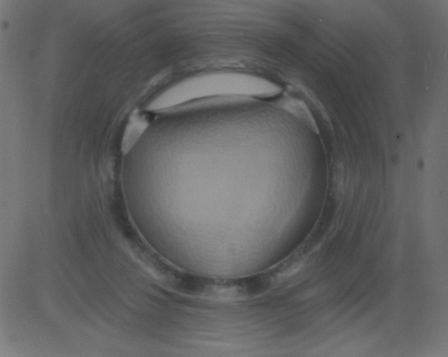 X0000081300260200702012316