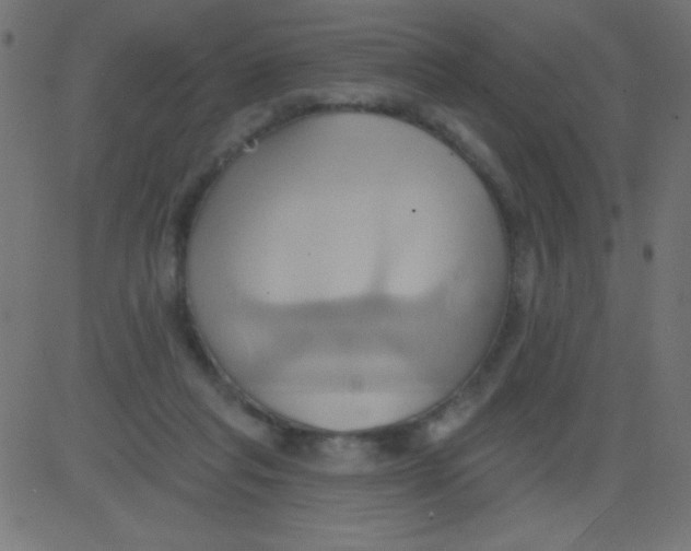 X0000081300261200702012316