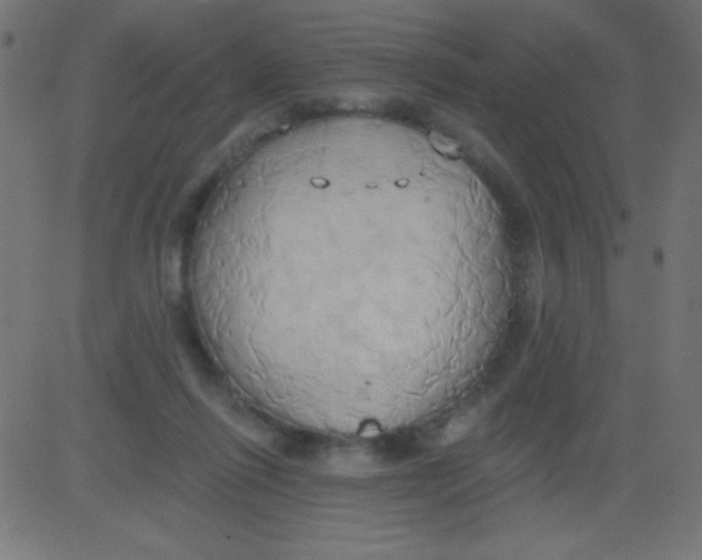 X0000081300262200702012316