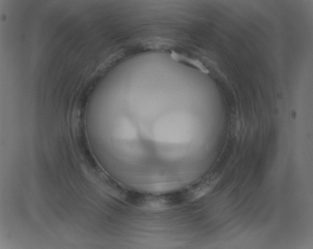 X0000081300263200702012317