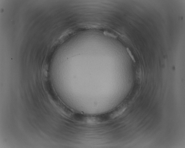 X0000081300264200702012317