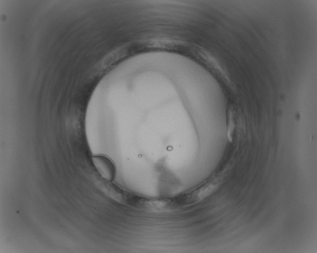 X0000081300265200702012317