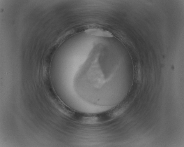 X0000081300266200702012317