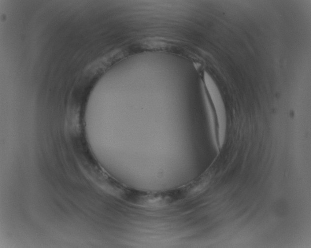 X0000081300267200702012317