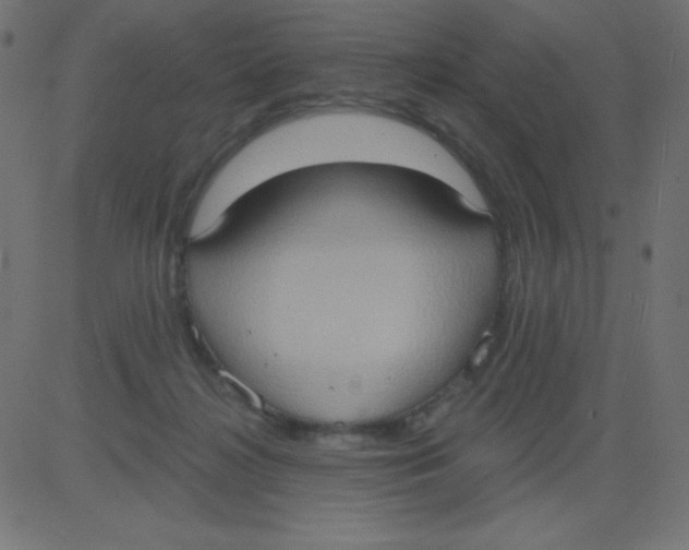 X0000081300268200702012317