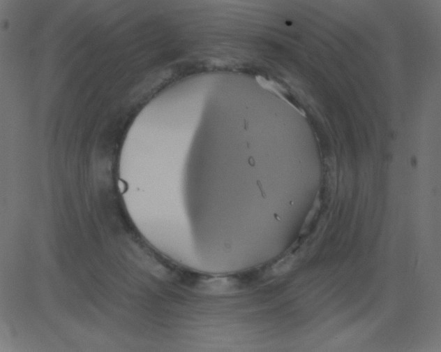 X0000081300269200702012317