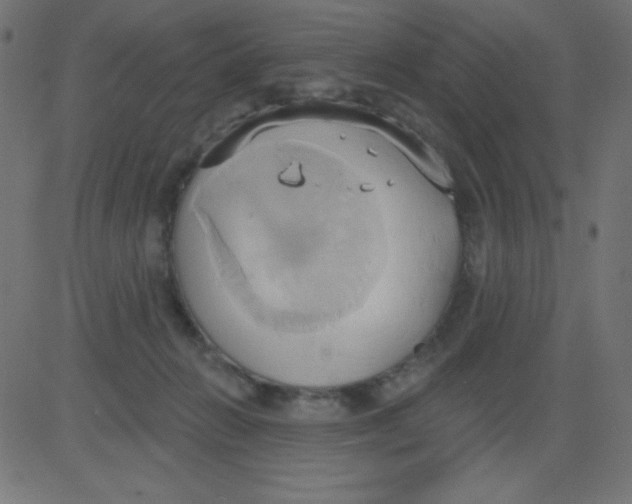 X0000081300270200702012317