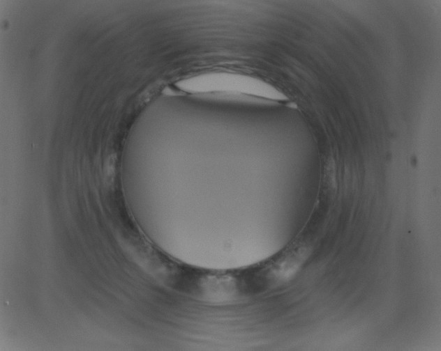 X0000081300271200702012317