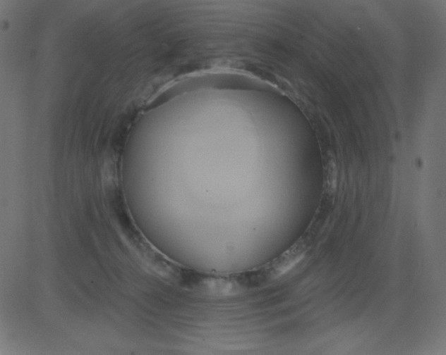 X0000081300272200702012317