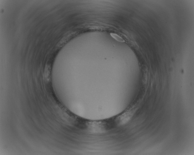 X0000081300273200702012317