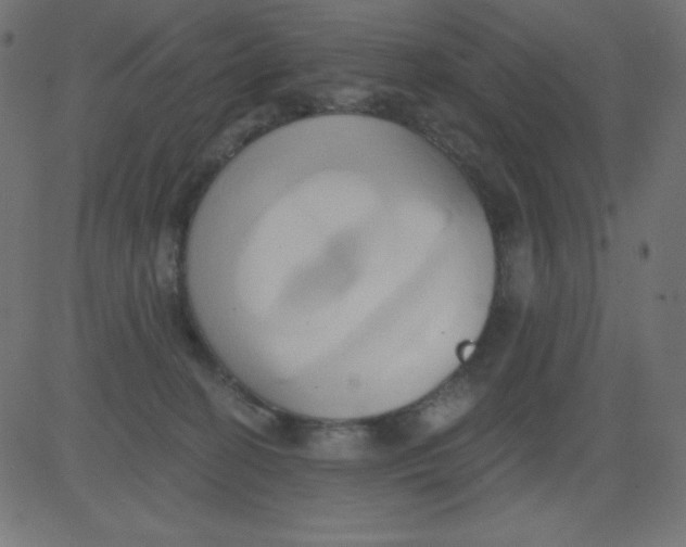 X0000081300274200702012317