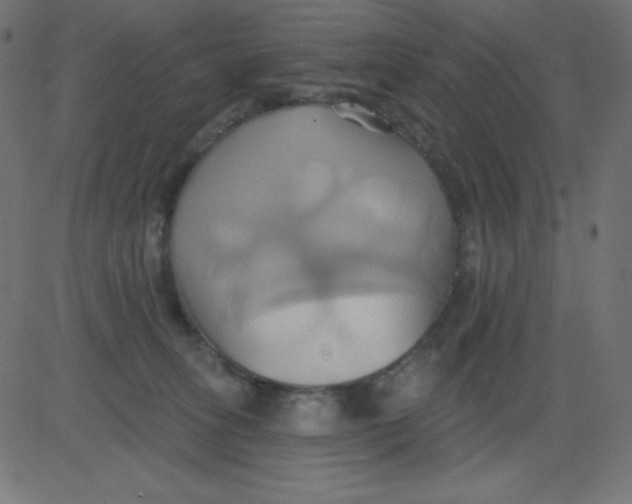 X0000081300275200702012317