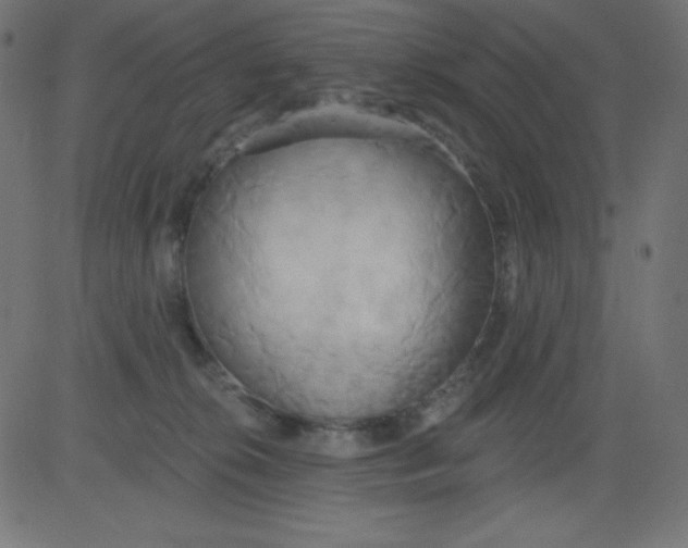 X0000081300276200702012317