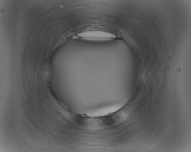 X0000081300277200702012317