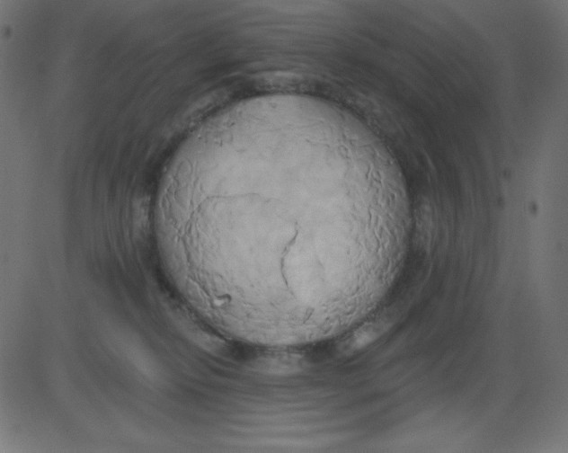 X0000081300278200702012317