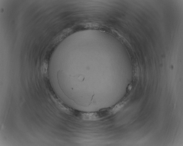 X0000081300281200702012317