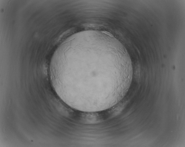 X0000081300282200702012317